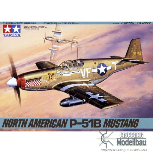 Tamiya 1:48 scale North American P-51B Mustang