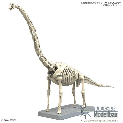 [Pre-Order]ETA:12/2024<br>BANDAI "Planosaurus" Brachiosaurus - Image 2
