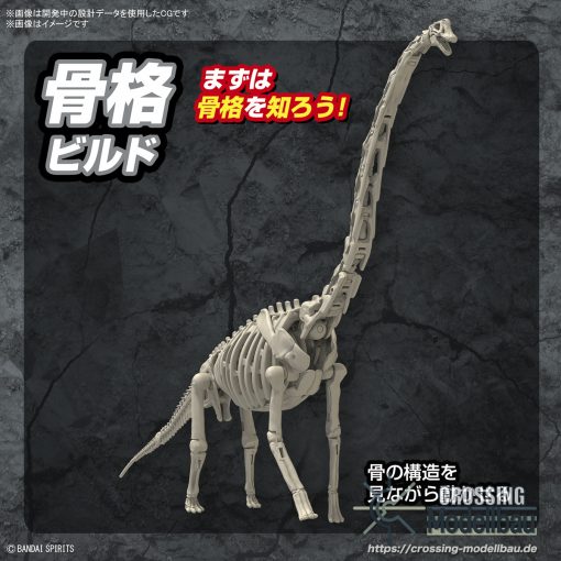 [Pre-Order]ETA:12/2024<br>BANDAI "Planosaurus" Brachiosaurus - Image 6