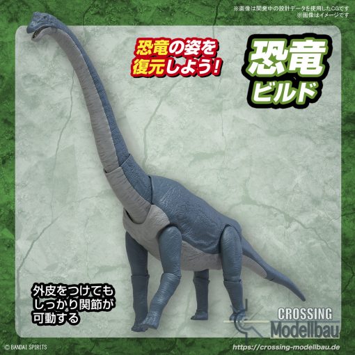 [Pre-Order]ETA:12/2024<br>BANDAI "Planosaurus" Brachiosaurus - Image 7