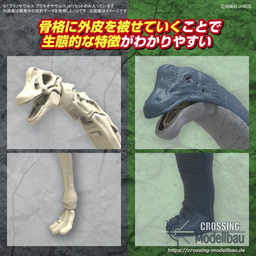 [Pre-Order]ETA:12/2024<br>BANDAI "Planosaurus" Brachiosaurus - Image 8